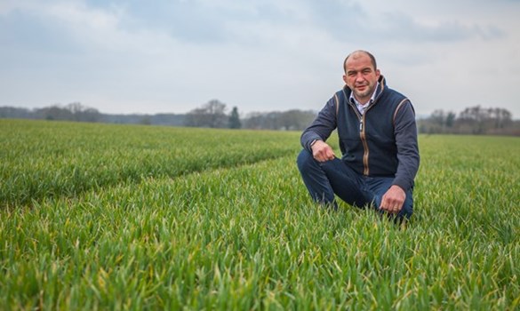 Mark Chandler, Petworth Monitor Farmer